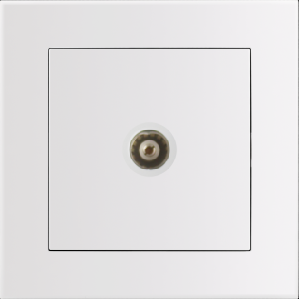 Entac Arnold Recessed wall TV socket End type White